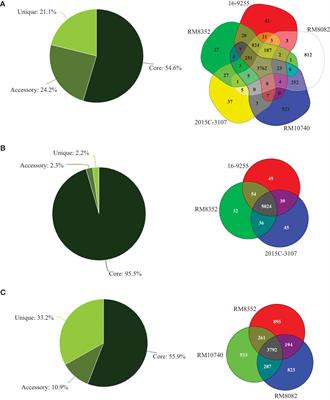 Comparative genomic and phenotypic analyses of the virulence potential in Shiga toxin-producing Escherichia coli O121:H7 and O121:H10